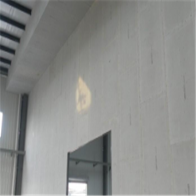 赛通宁波ALC板|EPS加气板隔墙与混凝土整浇联接的实验研讨